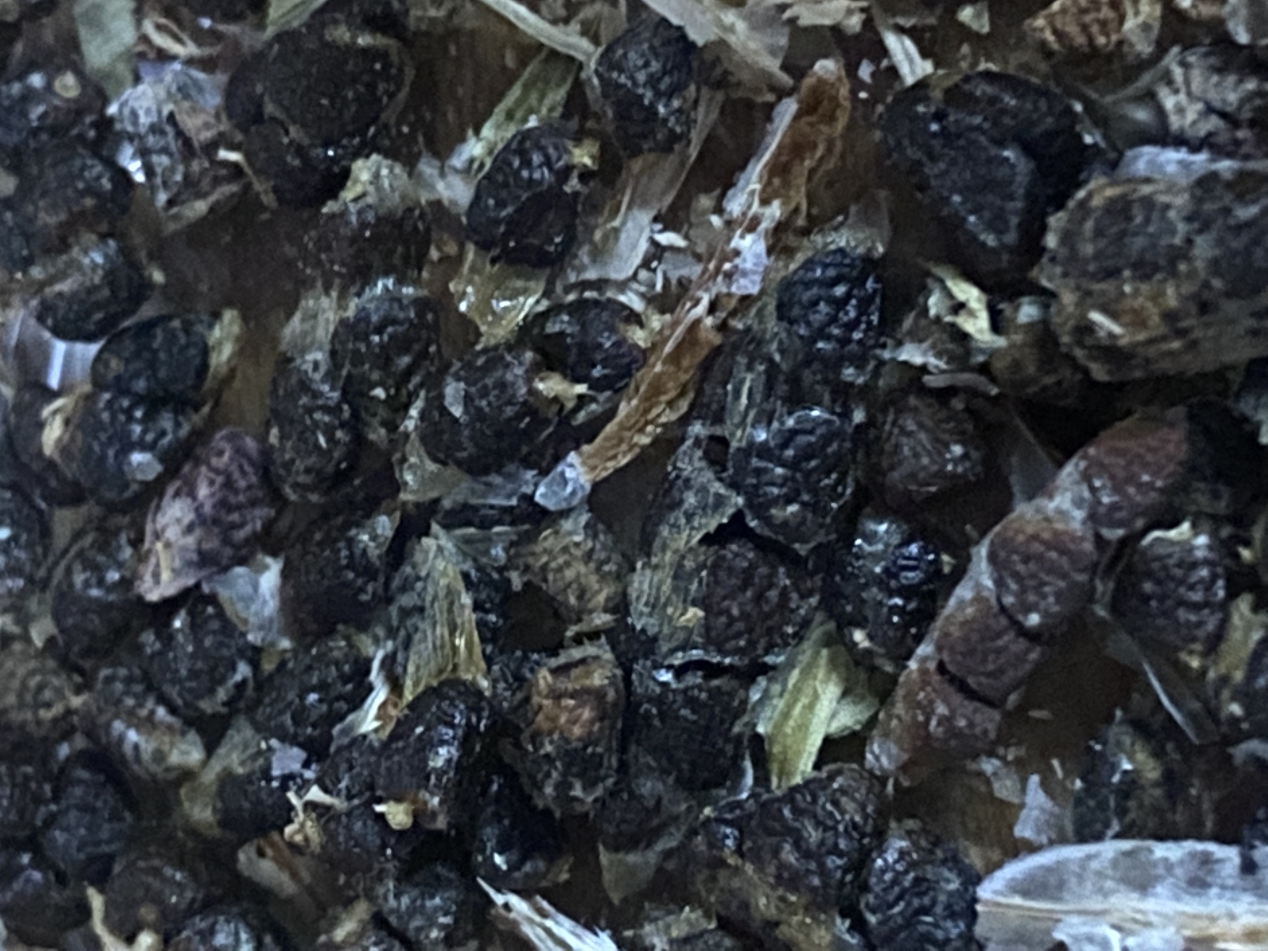 Ceylon Black Pepper Seeds — image 2